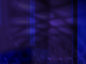 SEO优化入门基础：核心术语一网打尽